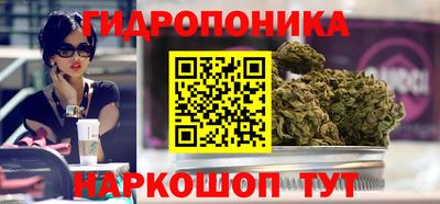 гидра Малгобек