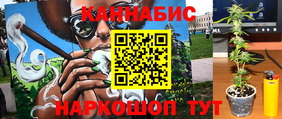 Бошки Шишки индика Елабуга